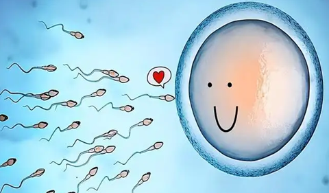 专业孕妈供卵助孕包生儿子